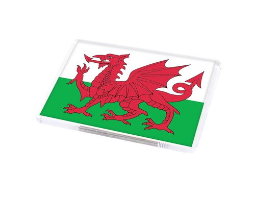 Wales flag fridge magnet - wales,