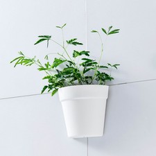 Wall Hanging Planter Half