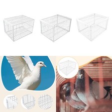 Chicken trap cage - chicken,