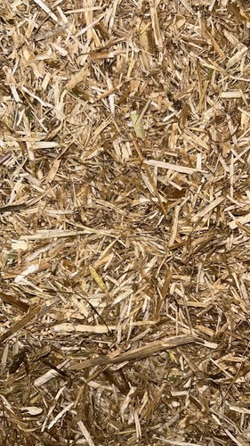 Chopped straw bedding dust - straw,