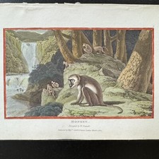 Antique Hand Colored 1807