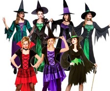 WICKED WITCH Halloween Costume