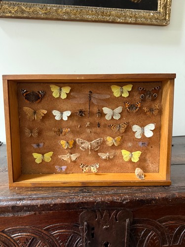 Vintage antique box - vintage,