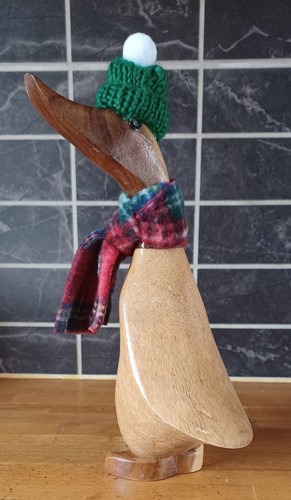 Duck ducky with cosy - ducky,