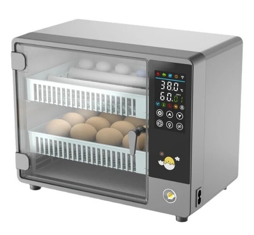Automatic digital eggs - digital,