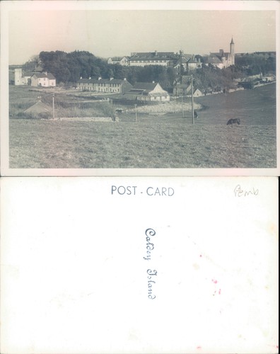 Caldey island landscape - caldey,