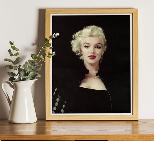Marilyn monroe professional - , :