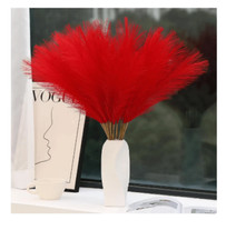 Pampas Grass 10Piece - Natural