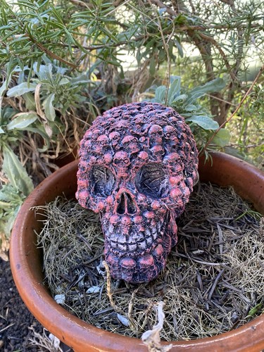 Skull garden ornament - skull,