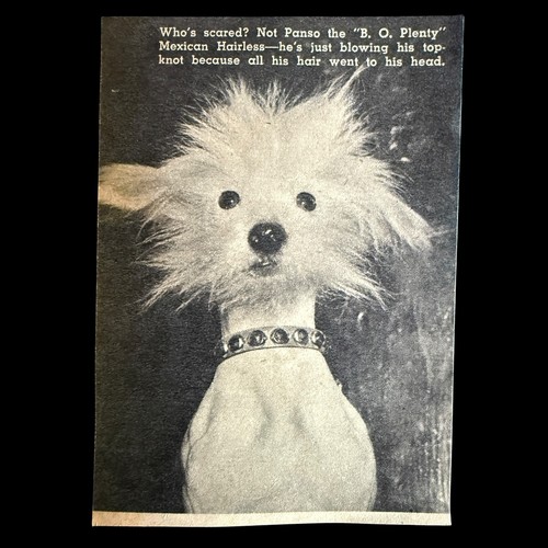 Vintage july 1950 pancho - 1950,