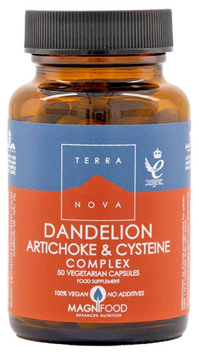 Terra nova dandelion - terra,