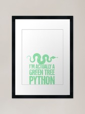 Pet Python Snake / Green Tree