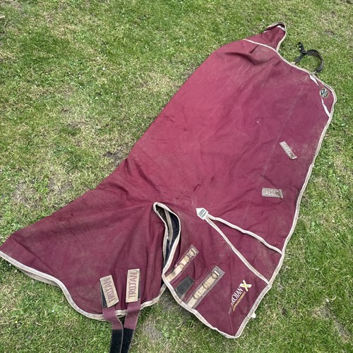 Gallop trojan size 3 - gallop,