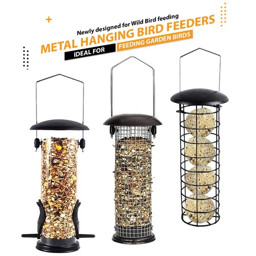Metal wild bird - wild,