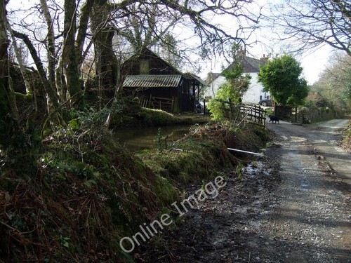 Photo 6x4 pen pontbren - photo,