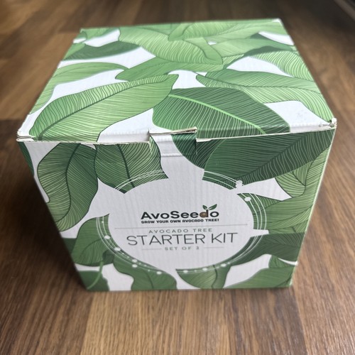 Avoseedo avocado tree starter - avocado,