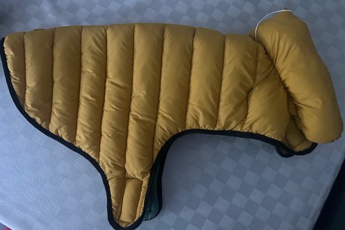 Pet collection reversible - collection, dog