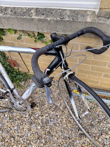 Orbea