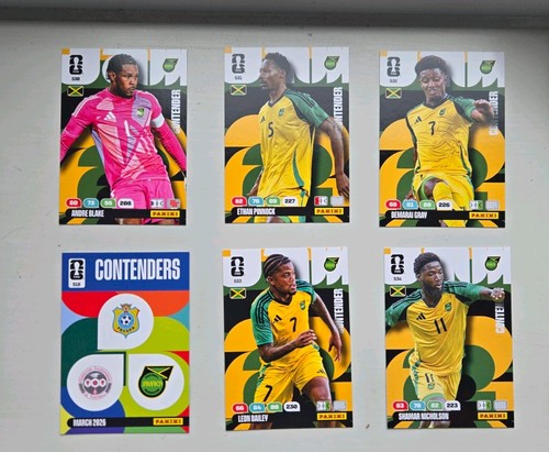 Panini fifa world cup - world,