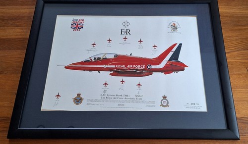 The red arrows 2012 - red,