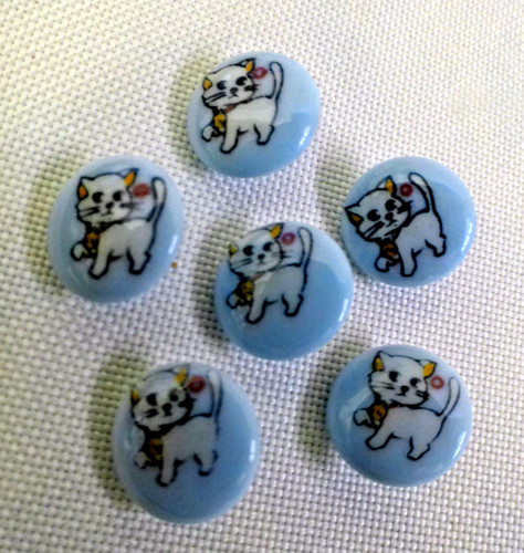 Blue kitten novelty baby - novelty,