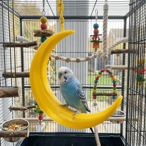 Printing moon shaped parrot - moon,