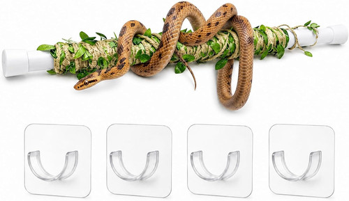 Reptile accessories snake - accessories,,