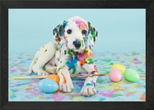 Dalmatian Puppy Framed Wall