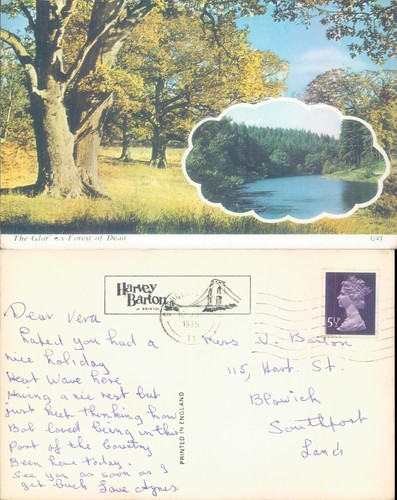 The glories forest - forest, dean