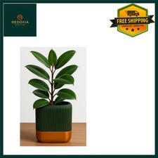 Stylish Self-Watering Ribbed