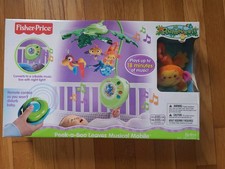Fisher Price Rainforest