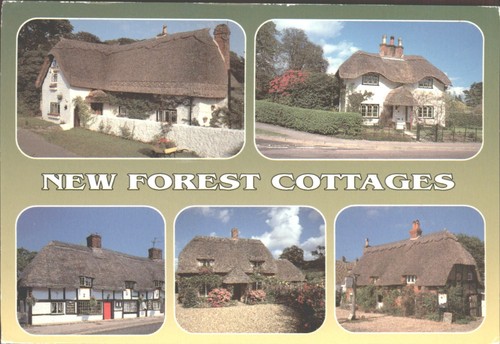 New forest cottages hampshire - new,