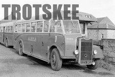 35mm Negative AA Motor