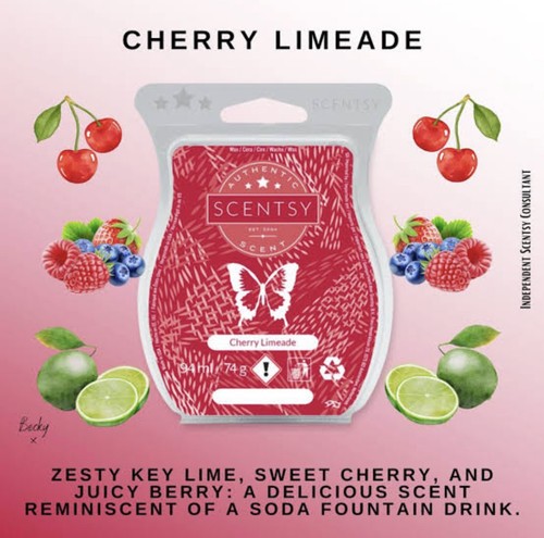 Scentsy bundle bars - scentsy,