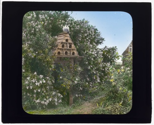 Dovecote gray gardens - gray, east