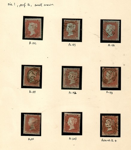 Victorian red very fine - ,