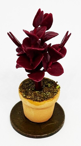 Dolls house red - house, plant