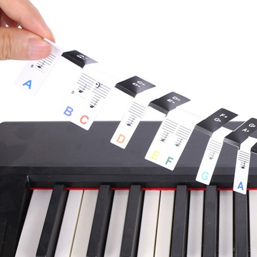 Removable key piano - 88,