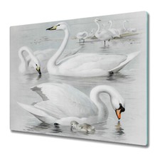 Tempered Glass Worktop Saver