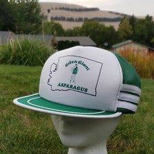 3 Stripe 5 Panel Snapback Dad