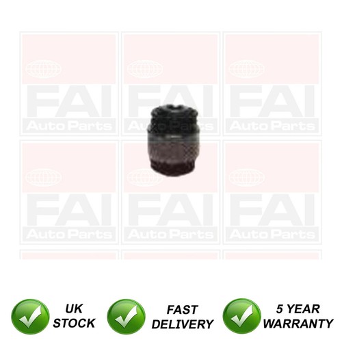 Track control arm bush rear - track,
