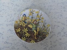 World Of Flower Fairies