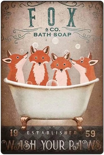 Fox vintage funny metal tin - fox,