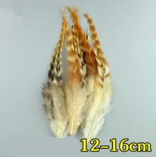 Natural Rooster Wing Feathers 12cm - 16cm Chicken Fly Craft Hat Arts Costume