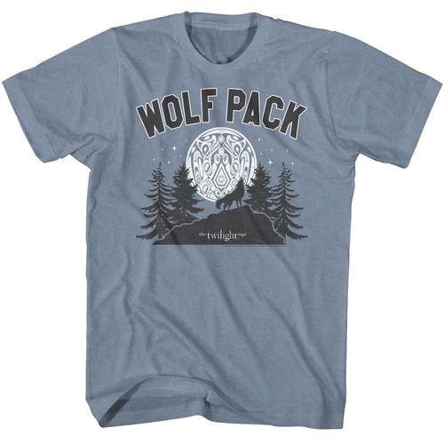 Twilight wolf pack - twilight,