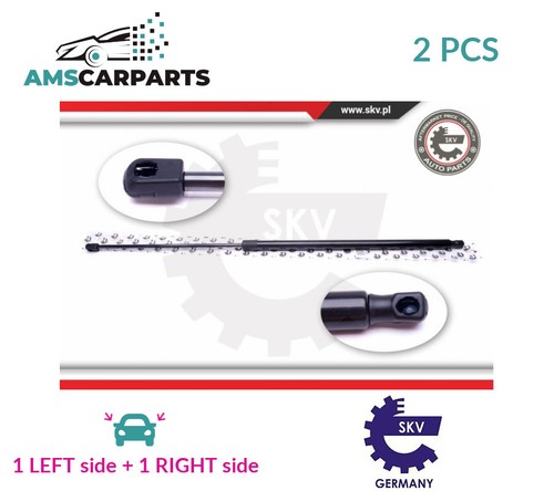 Tailgate boot struts - tailgate,