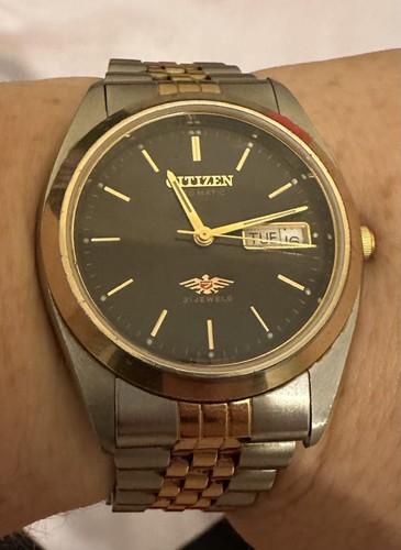 Citizen eagle two tone watch - citizen,