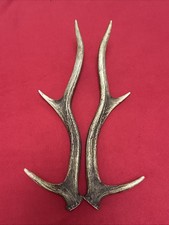 PAIR OF RED DEER ANTLERS 310g.   approx. 39cm.