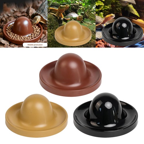 Reptile feeding dish pet - feeding,