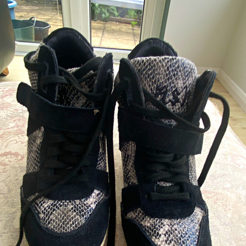 Ash women high top - ash, women’s